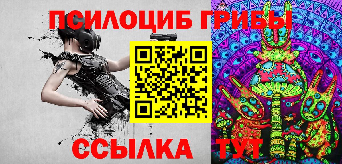 Псилоцибиновые грибы Psilocybe Брянск