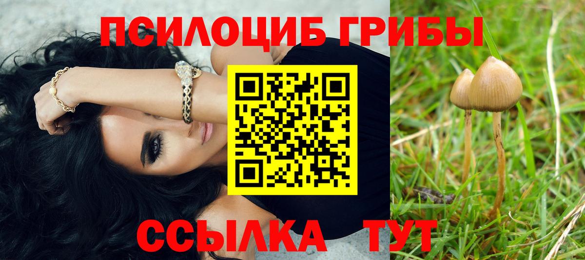 Псилоцибиновые грибы Magic Shrooms  Вход с VPN  Брянск 